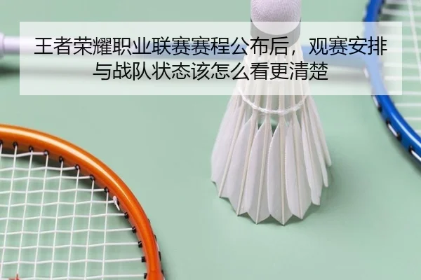 王者荣耀职业联赛赛程公布后，观赛安排与战队状态该怎么看更清楚